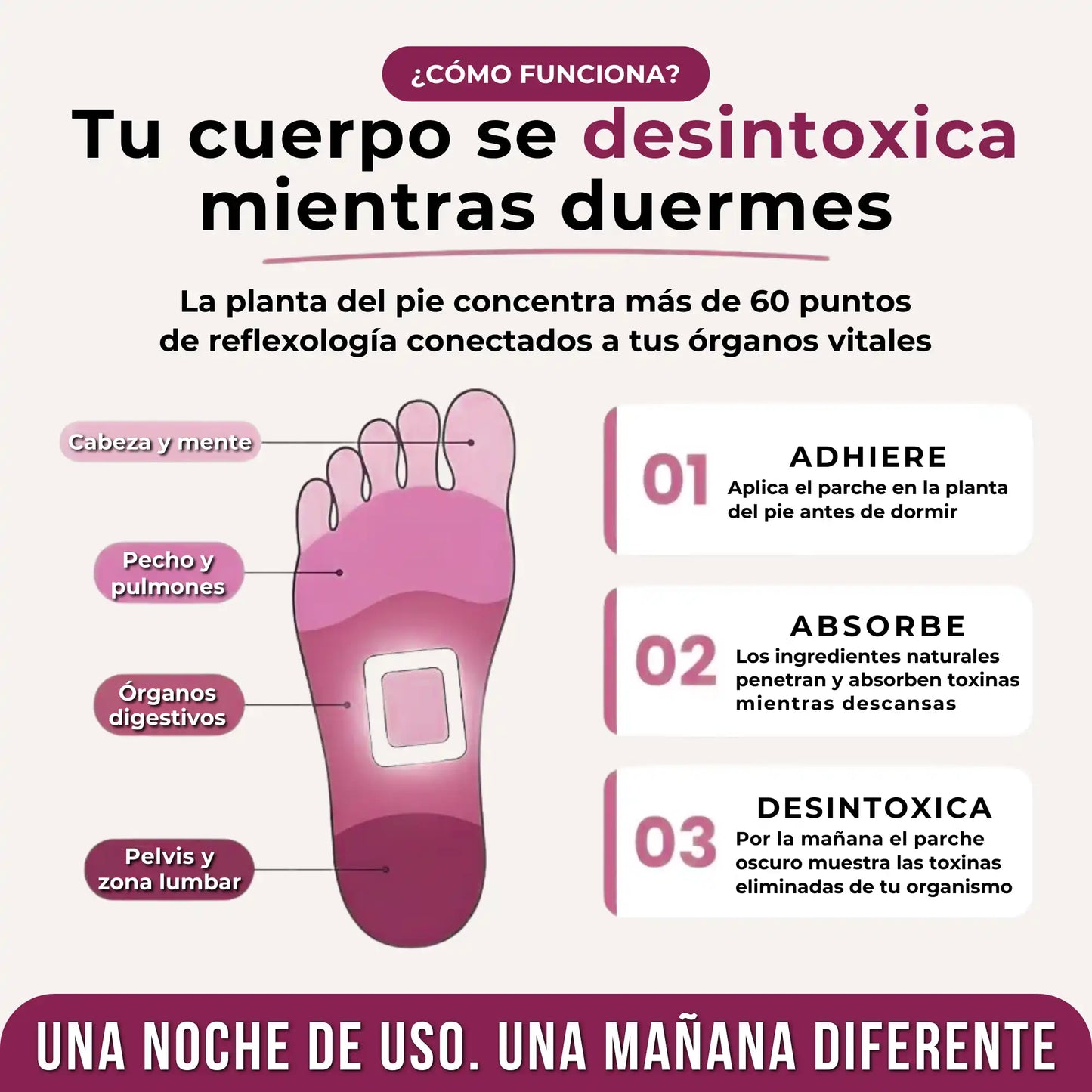 Secreto Japonés Que Elimina El Estrés Mientras Duerme - Desde El Día 1