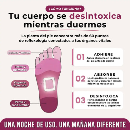 Secreto Japonés Que Elimina El Estrés Mientras Duerme - Desde El Día 1